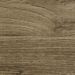 Photo n°5