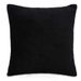 Photo n°4