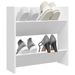 Armoire à chaussures murale Blanc 60x18x60 cm - Photo n°1