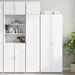 Armoire de rangement mince blanc 45x42,5x225 cm - Photo n°1