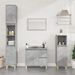 Armoire de salle de bain gris béton 30x30x100 cm - Photo n°1