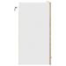 Armoire en verre suspendue Chêne sonoma 60x31x60 cm - Photo n°6