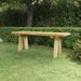 Banc de jardin 110 cm bois de pin massif imprégné - Photo n°1