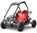 Buggy enfant 110cc noir - Photo n°1