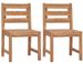 Chaises de jardin 2 pcs Bois de teck solide - Photo n°1