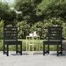 Chaises de jardin 2 pcs noir 40,5x48x91,5 cm bois massif de pin - Photo n°1