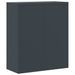 Classeur anthracite 90x40x145 cm acier - Photo n°10