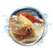 CLEMENTONI Science & Jeu - Mes premiers Triops - Jeu scientifique - Photo n°3