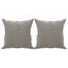 Coussins décoratifs 2 pcs Gris clair 40x40 cm Velours - Photo n°2