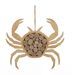 Crabe nature à suspendre cm 35x2x31 - Photo n°1