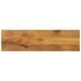 Dessus de table 100x20x2,5cm rectangulaire bois massif manguier - Photo n°1