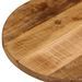 Dessus de table 100x40x2,5cm ovale bois massif de manguier brut - Photo n°6