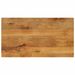 Dessus de table 100x60x3,8cm rectangulaire bois massif manguier - Photo n°1