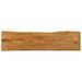 Dessus de table 160x40x3,8 cm bord vivant bois massif manguier - Photo n°1