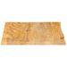 Dessus de table à bord vivant 60x60x2,5 cm bois massif manguier - Photo n°4