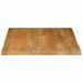 Dessus de table à bord vivant 60x60x3,8 cm bois massif manguier - Photo n°4