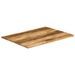 Dessus de table bord vivant 110x80x2,5 cm bois de manguier brut - Photo n°2