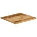 Dessus de table bord vivant 40x40x3,8 cm bois de manguier brut - Photo n°2