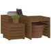 Ensemble de boîtes de jardin 3 pcs marron miel bois pin massif - Photo n°4