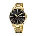 Festina F20479/4 F20479_4 - Photo n°1