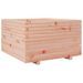 Jardinière 80x80x49,5 cm bois massif de douglas - Photo n°7