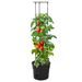 Jardinière à tomate Anthracite Ø29,5x115 cm Polypropylène - Photo n°2