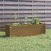 Jardinière d'extérieur Marron miel 100x31x31 cm Bois de pin - Photo n°1