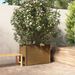 Jardinière d'extérieur Marron miel 100x50x70 cm Pin massif - Photo n°1
