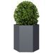 Jardinières 2 pcs anthracite hexagone 46x40x45 cm acier - Photo n°5