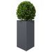 Jardinières 2 pcs anthracite triangulaire 50x43x75 cm acier - Photo n°4