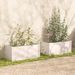 Jardinières 2 pcs Blanc 100x50x50 cm Bois de pin massif - Photo n°1