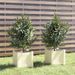 Jardinières 2 pcs Blanc 31x31x31 cm Bois de pin massif - Photo n°1