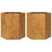 Jardinières 2 pcs hexagone 46x40x45 cm acier corten - Photo n°2