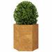 Jardinières 2 pcs hexagone 46x40x45 cm acier corten - Photo n°5