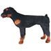 Jouet en peluche Chien de race Rottweiler Marron et noir XXL - Photo n°2