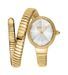 Just Cavalli Time Ardea 2023-24 Collection JC1L268M0025 - Photo n°1