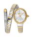 Just Cavalli Time Ardea 2023-24 Collection JC1L268M0055 - Photo n°1