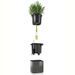 LECHUZA 3 pcs Jardinières Green Wall Home Kit Anthracite brillant - Photo n°5