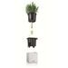 LECHUZA 3 pcs Jardinières Green Wall Home Kit Blanc - Photo n°3