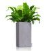 LECHUZA Jardinière CANTO Stone 30 High ALL-IN-ONE Gris pierre - Photo n°3