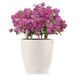 LECHUZA Jardinière Classico Color 28 ALL-IN-ONE Blanc brillant 13190 - Photo n°4