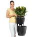 LECHUZA Jardinière CLASSICO LS 28 ALL-IN-ONE charbon métallisé 16043 - Photo n°8