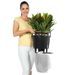 LECHUZA Jardinière CLASSICO LS 35 ALL-IN-ONE blanc brillant 16060 - Photo n°7