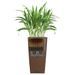 LECHUZA Jardinière Cubico 40 ALL-IN-ONE Taupe haute brillance 18215 - Photo n°5