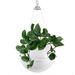 LECHUZA Jardinière suspendue BOLA Color 32 ALL-IN-ONE Blanc - Photo n°7