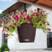 LECHUZA Jardinière suspendue NIDO Cottage 28 ALL-IN-ONE Moka - Photo n°1