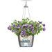 LECHUZA Jardinière suspendue NIDO Cottage 28 ALL-IN-ONE Moka - Photo n°6