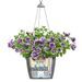 LECHUZA Jardinière suspendue NIDO Cottage 35 ALL-IN-ONE Noir graphite - Photo n°5