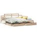 Lit de jour et lit gigogne et tiroirs 80x200 cm bois pin massif - Photo n°1