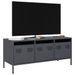 Meuble TV anthracite 101,5x39x43,5 cm acier laminé à froid - Photo n°1
